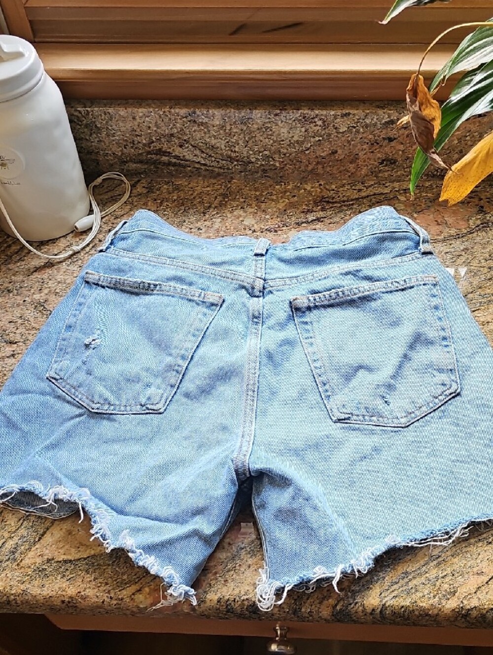 Agolde Riley Shorts Nwot - Picture 4 of 6
